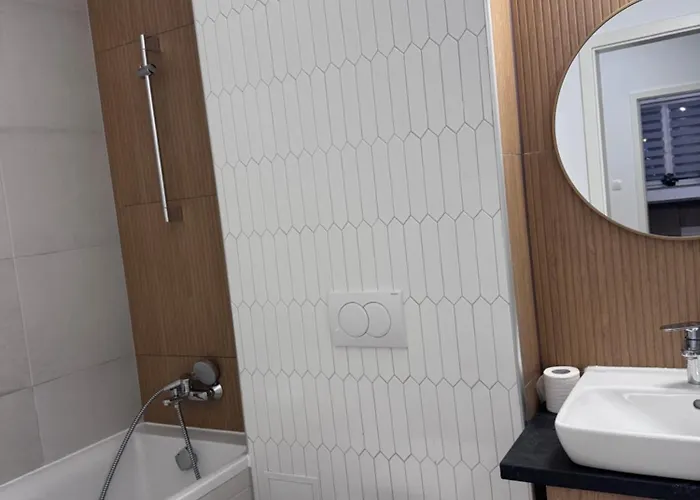 公寓 Cazare Apartament Brasov 布拉索夫