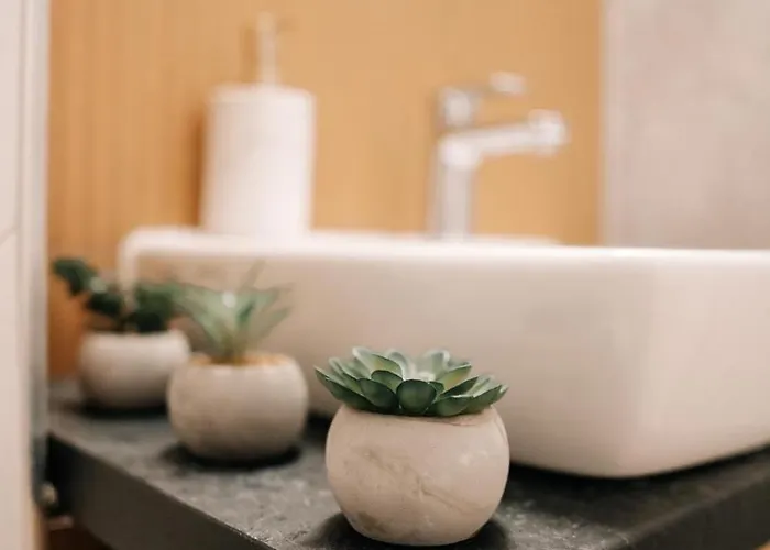 Cazare Apartament Brasov 公寓